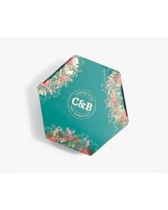 Merry Christmas Pudding in carton 